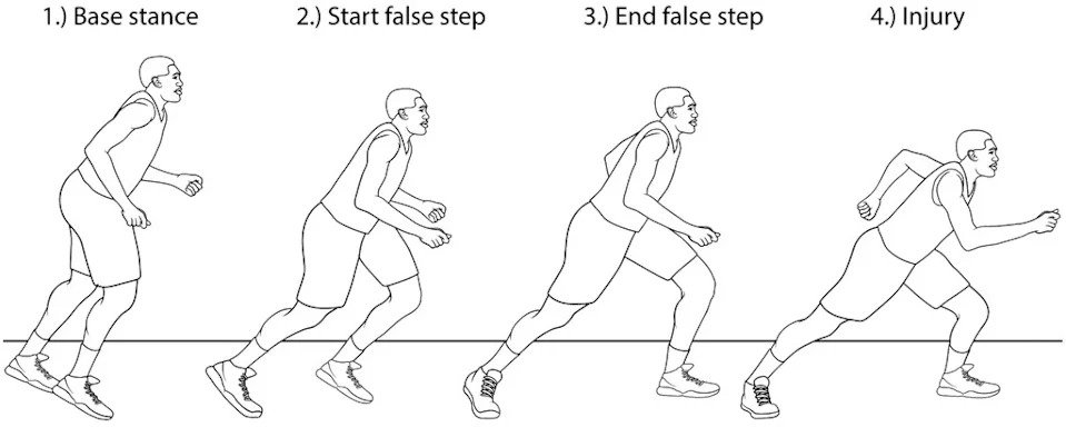 (Journal of Applied Biomechanics)