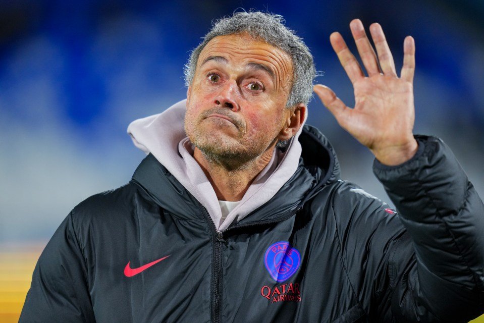 AJ Auxerre v Paris Saint-Germain FC - Ligue 1 McDonald's 2025/2026