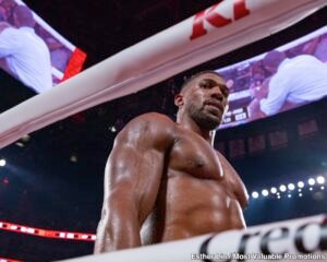 Whyte Says Wilder Fight Makes Sense but Joshua Is Moving Too Soon