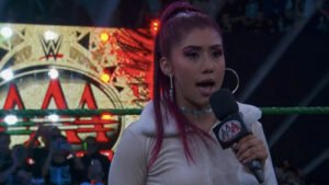 Former CMLL & WWE Wrestler La Catalina Makes AAA Debut