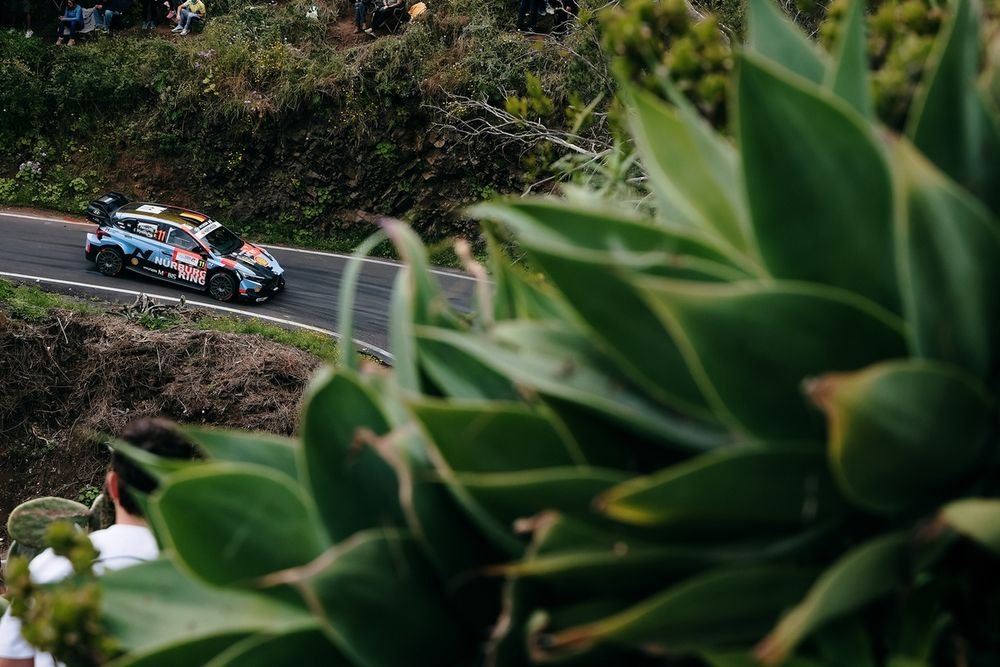 Thierry Neuville, Martijn Wydaeghe, Hyundai Shell Mobis World Rally Team Hyundai i20 N Rally1