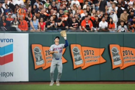 Jared Young makes his impact felt in last-minute Mets’ starting chance