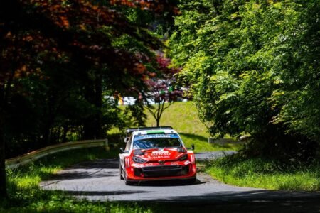 Evans leads with Solberg delayed by deer, Katsuta frustrated