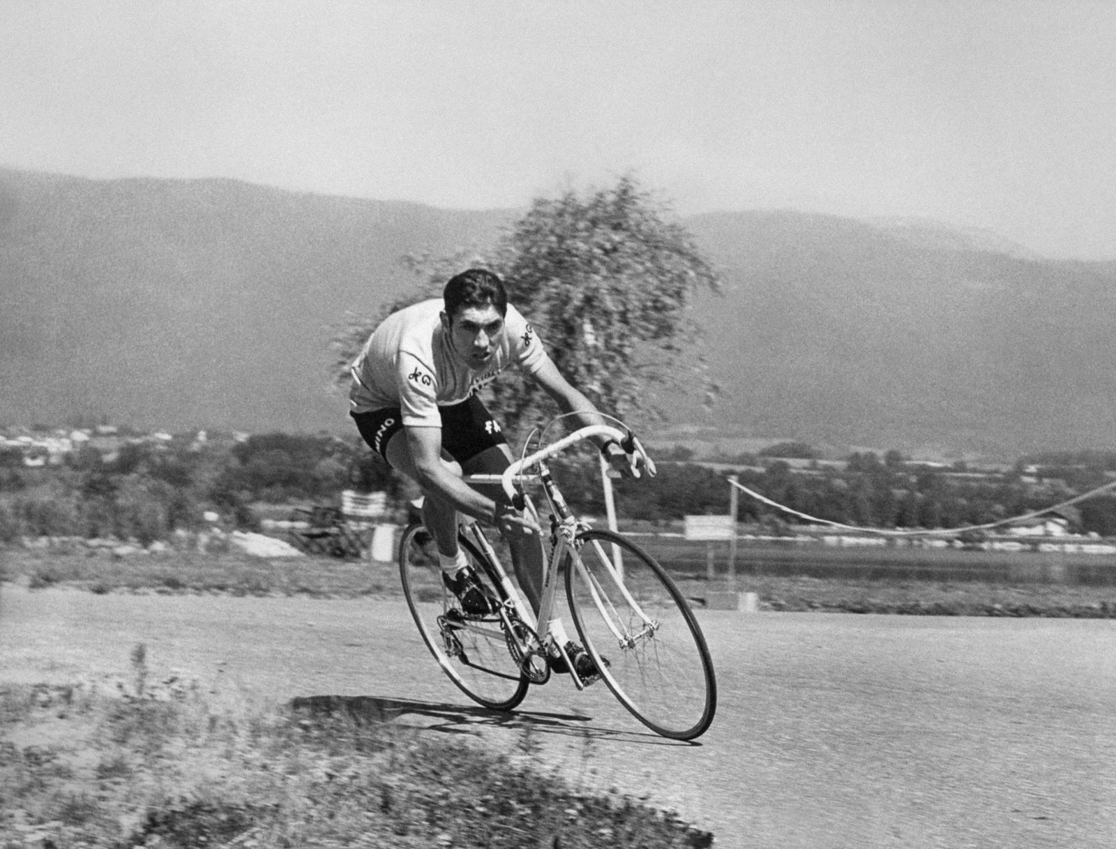 Eddy Merckx