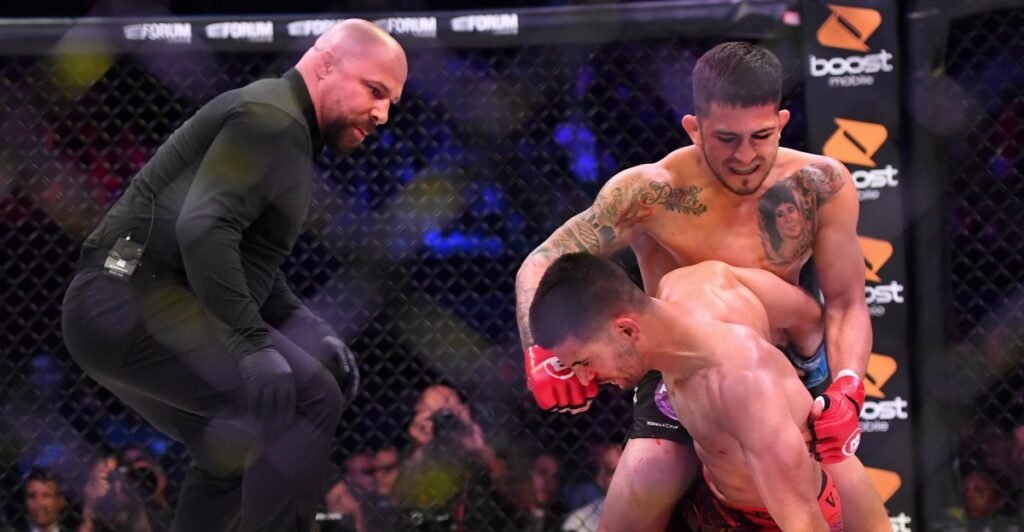 Chris Leben, Frank Trigg, and California Commission argue for bill to allow sponsors to benefit fighter retirement fund