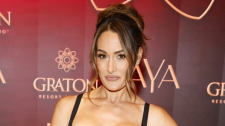 Nikki Bella Wants ‘Meaningful Story’ In WWE After She Returns From Injury