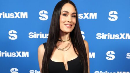 WWE’s Brie Bella Eyeing Eventual Return To Singles Division