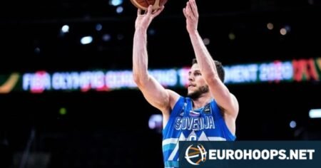 Aleksej Nikolic moves to Galatasaray