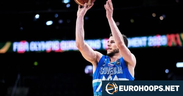 Aleksej Nikolic moves to Galatasaray