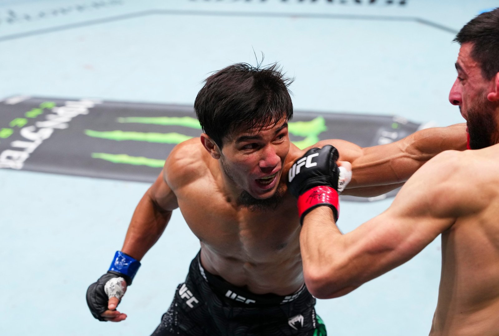 UFC Fight Night: Erceg v Temirov