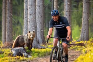 ‘There was a bear in my midst. And if its bowel movement was anything to go by, it was a big one’: My experience of riding through the bear capital of Europe