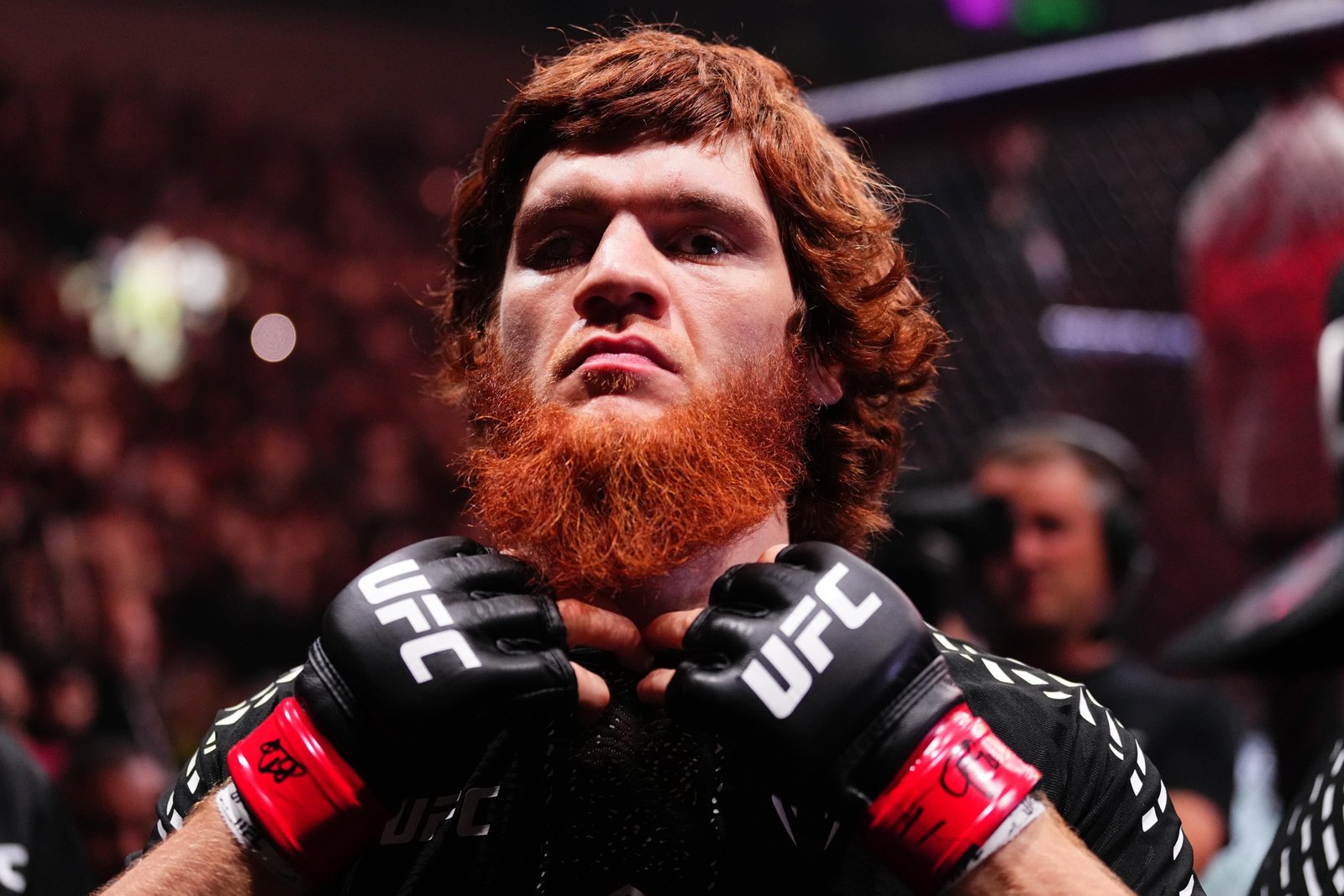UFC Fight Night: Magomedov v Pereira