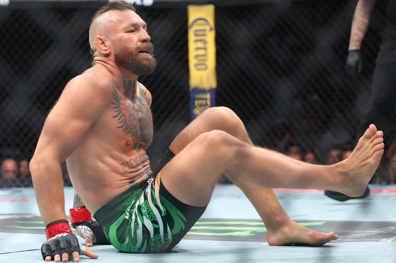 UFC 329: McGregor v Holloway 2