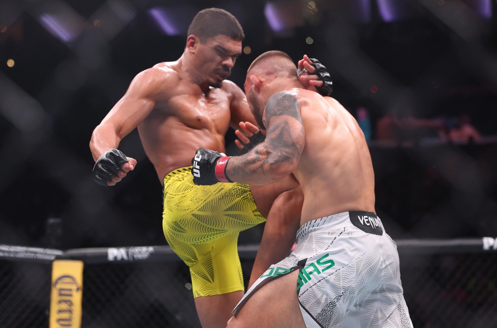 UFC 330: Tobias v Fernando