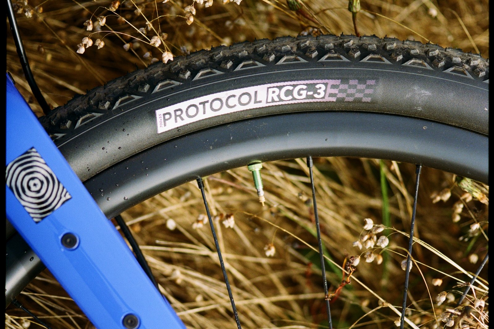 Silca Protocol tyres