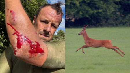 I rode headfirst into a roe buck – it’s rutting season right now and UK gravel riders should be aware