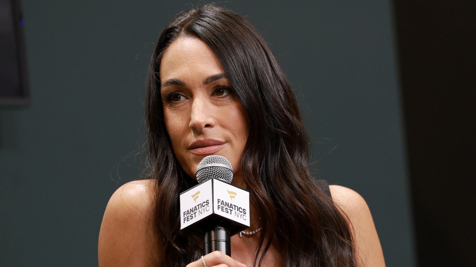 WWE’s Brie Bella Offers Injury Recovery Update
