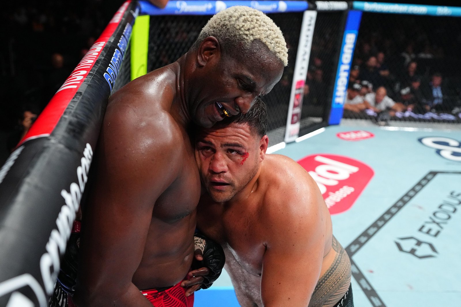 Robelis Despaigne and Tai Tuivasa