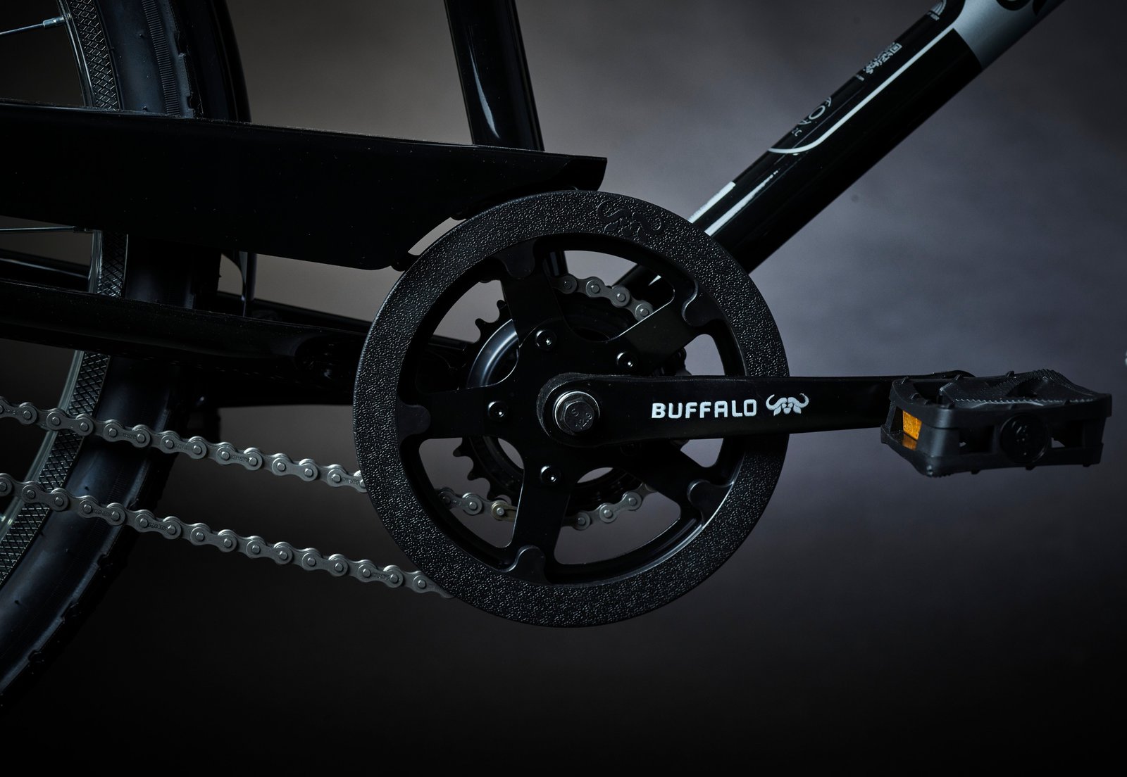 The dual chainring of the Buffalo Pro bike