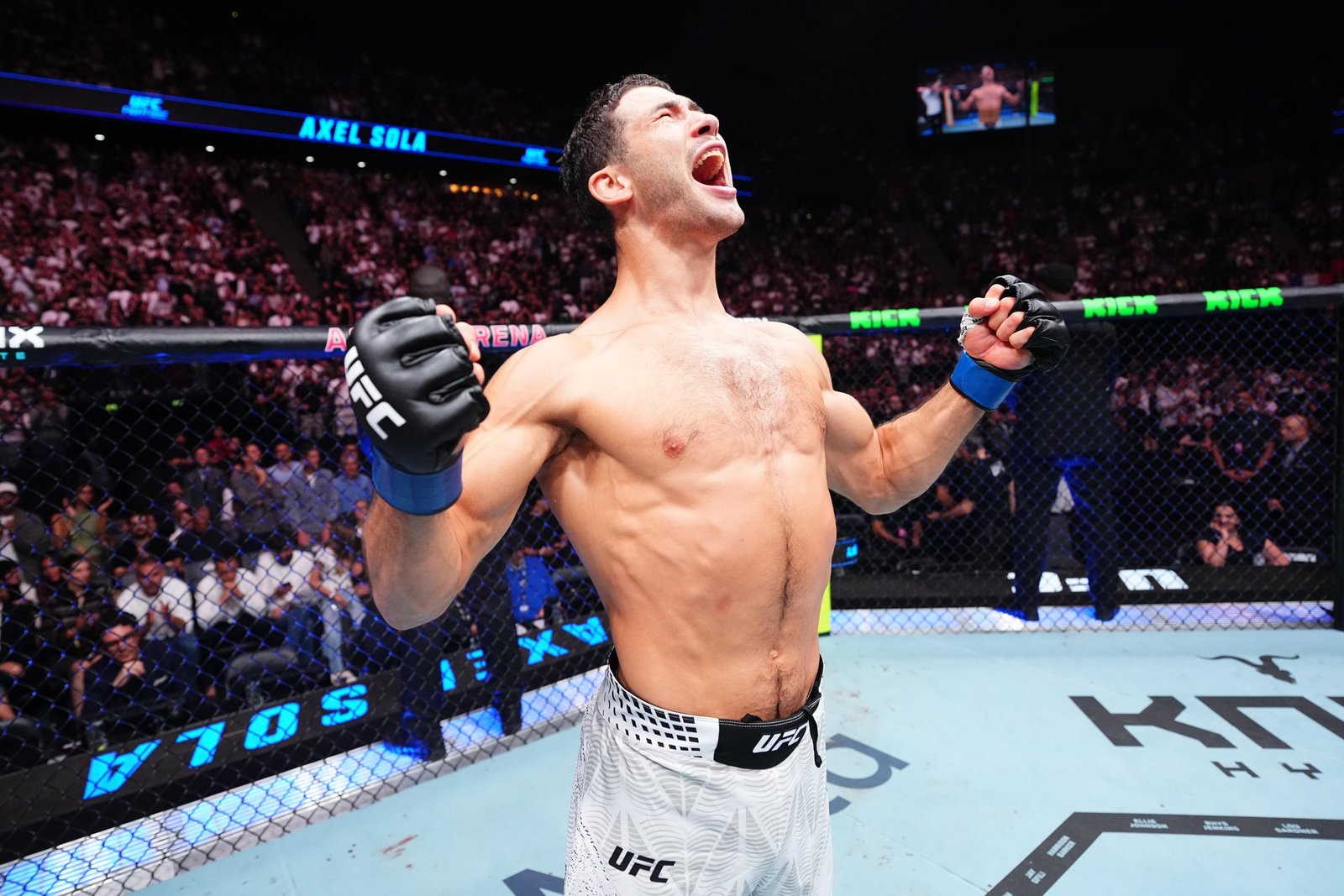 UFC Fight Night: Ziam v Sola